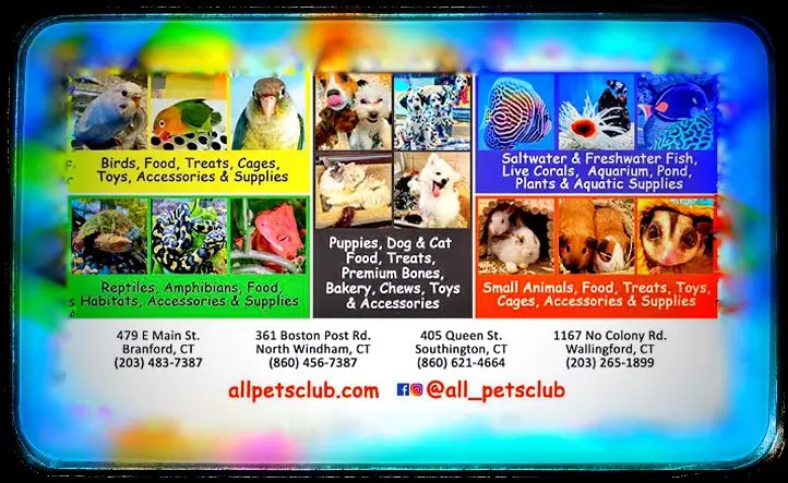 ALL PETS CLUB