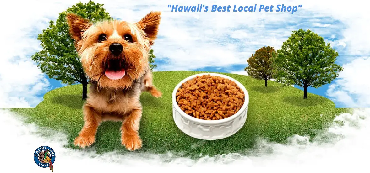 Kalihi Pet Center