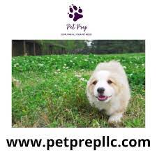 pet prep llc