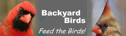 Company logo of Backyard Birds