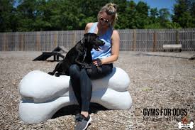 Gyms for Dogs™ - Natural Dog Park Products