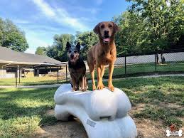 Gyms for Dogs™ - Natural Dog Park Products