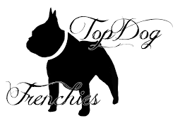 Company logo of English and French Bulldog Puppies For Sale | French Bulldog Breeder |Amazing Frenchie Pups