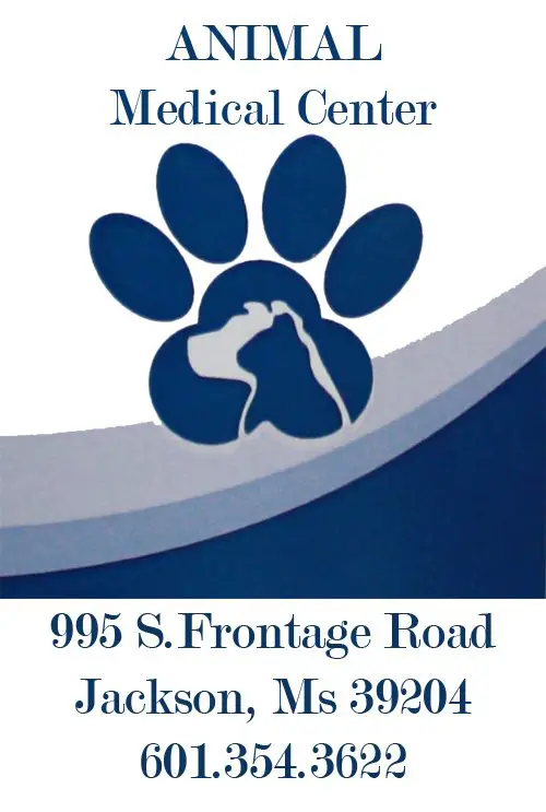 Company logo of Animal Medical Center