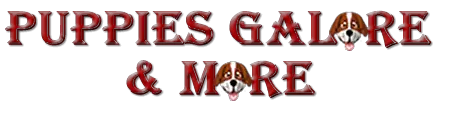 Company logo of Puppies Galore & More