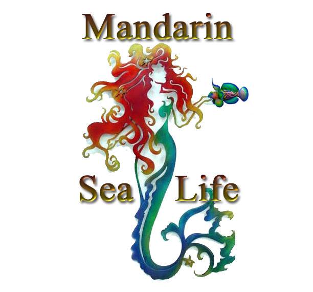 Company logo of Mandarin SeaLife