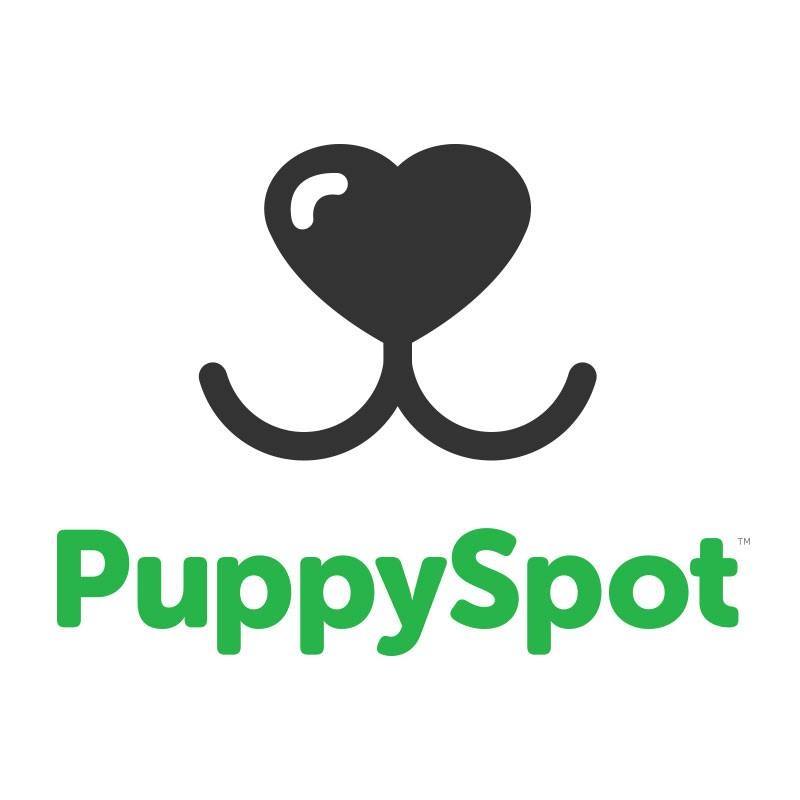 Company logo of The Puppy Spot