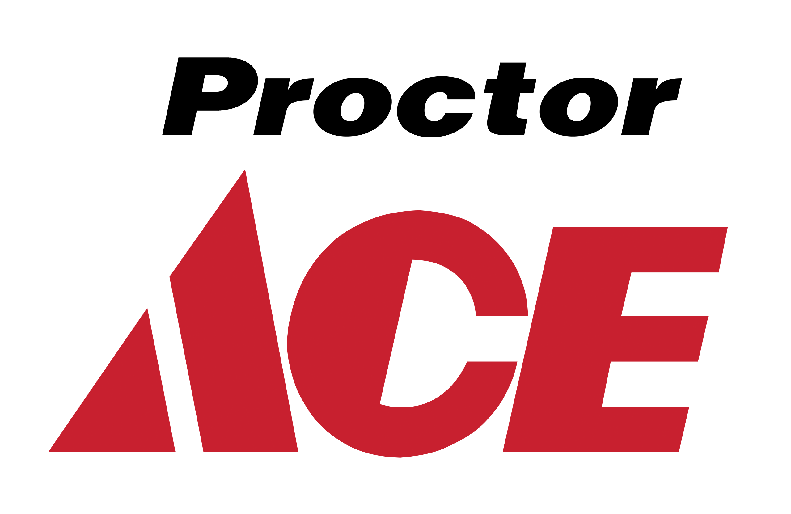Company logo of Proctor Ace Hardware