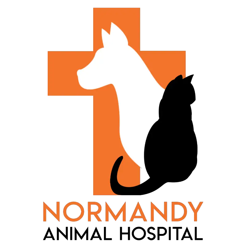 Company logo of Normandy Animal Hospital