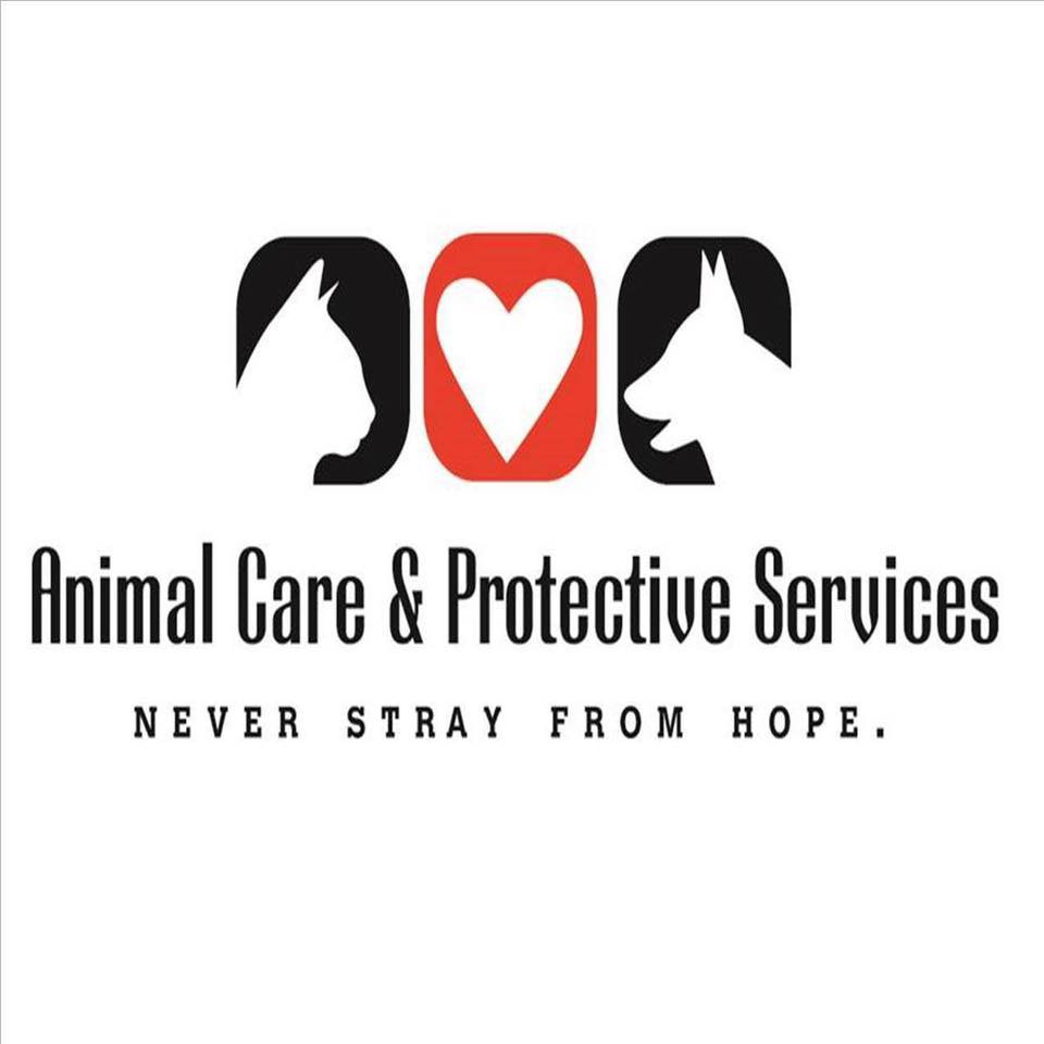 Company logo of Pet Adoptions