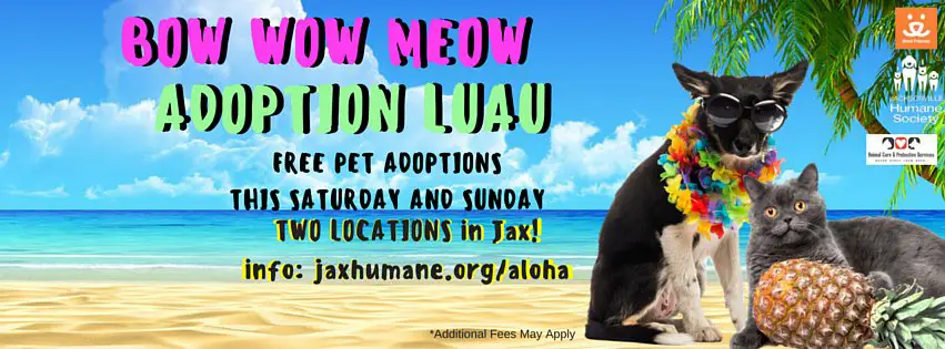 Pet Adoptions