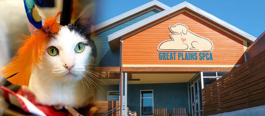 Great Plains SPCA Pet Adoption Center