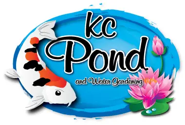 Company logo of Kansas City Pond & Water Gardening