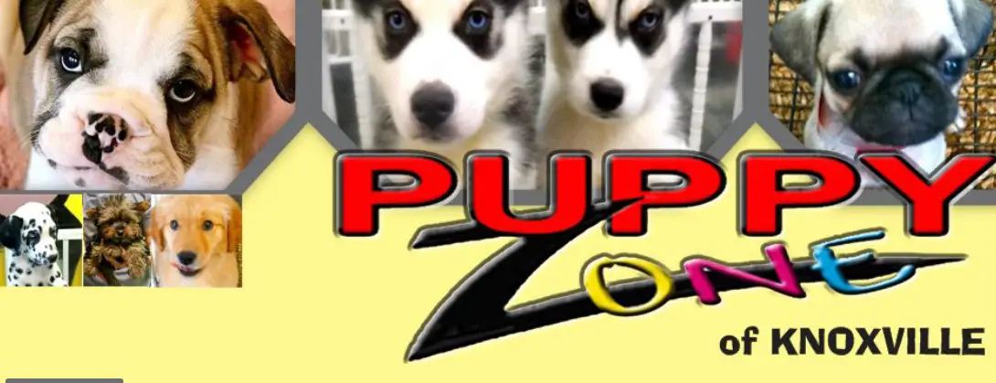 Company logo of Puppy Zone