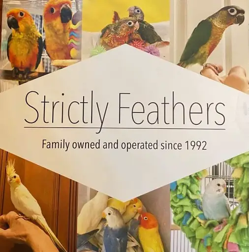 Company logo of Strictly Feathers