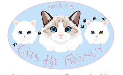 Company logo of Cats By Francy