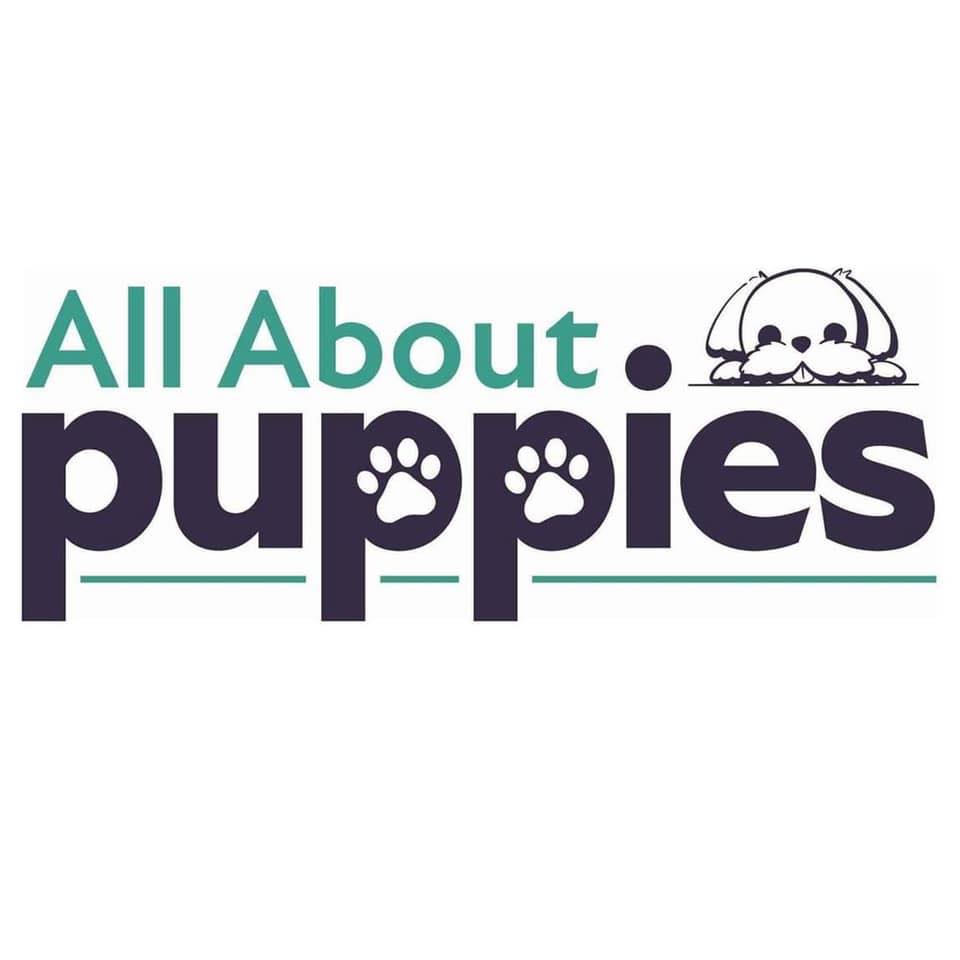 Company logo of All About Puppies