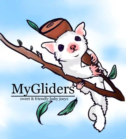 Company logo of MY Gliders