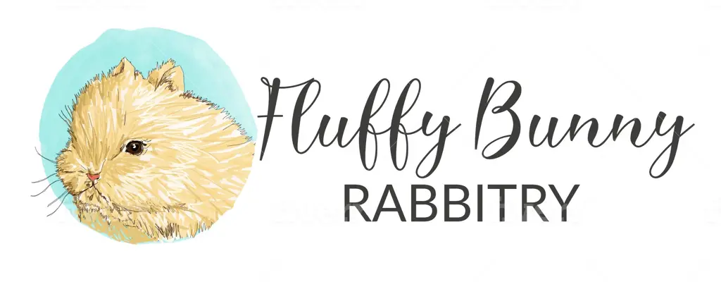 Company logo of Pet Bunny Rabbit Netherland Dwarf Sweet