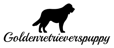 Company logo of Golden Retriever Puppies For Sale Near