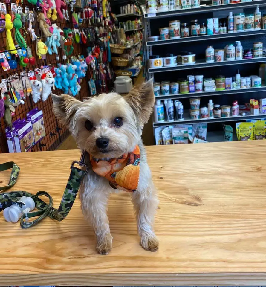 EarthWise Pet Supply & Grooming Valrico