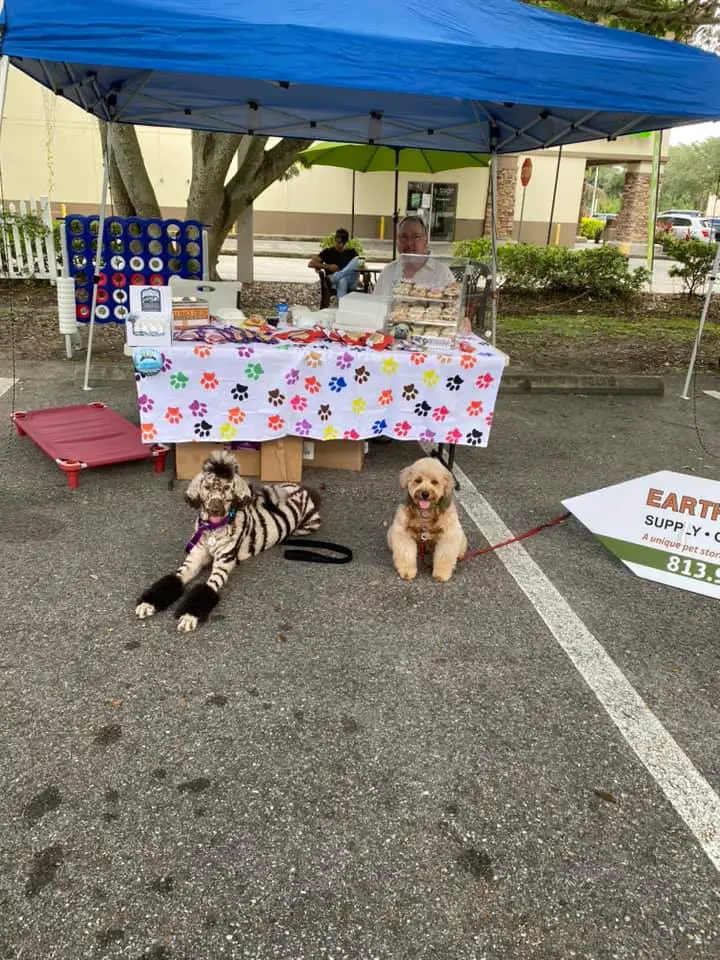 EarthWise Pet Supply & Grooming Valrico