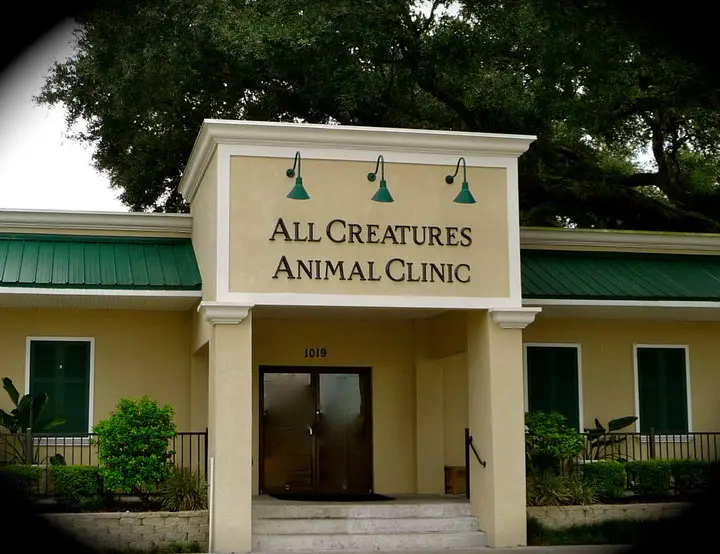 Company logo of All Creatures Animal Clinic
