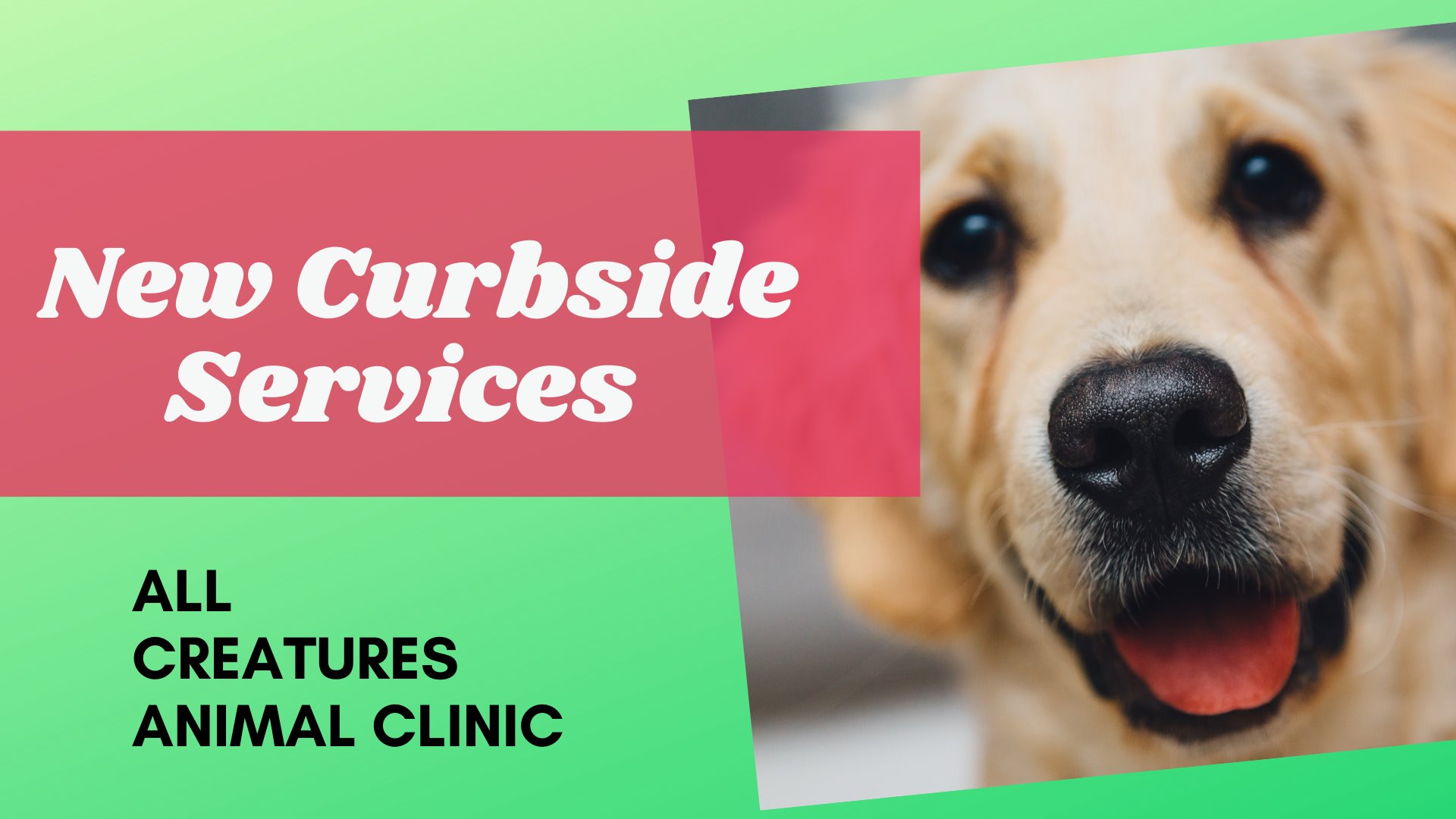 All Creatures Animal Clinic