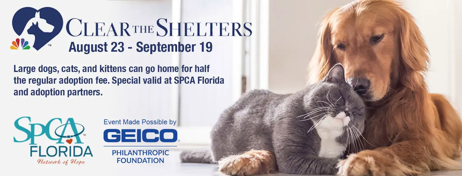 SPCA Florida Adoption Center