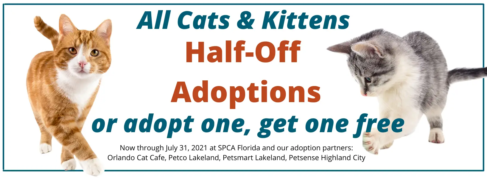 SPCA Florida Adoption Center