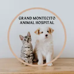 Company logo of Grand Montecito Animal Hospital