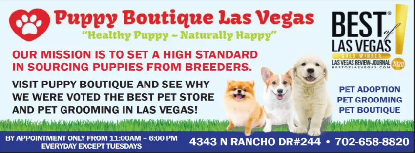 Puppy Boutique Las Vegas