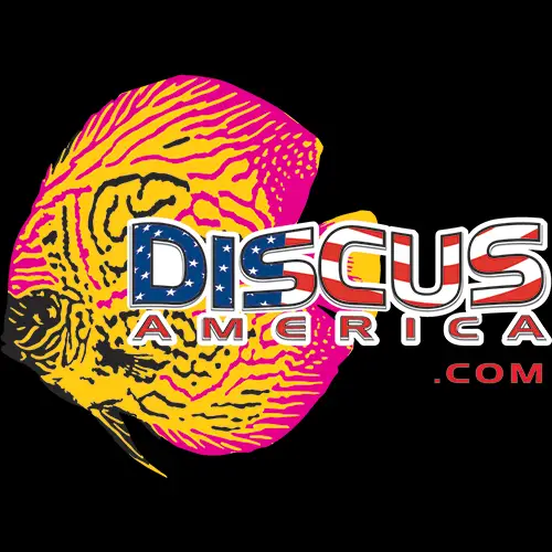 Company logo of Discus America Inc