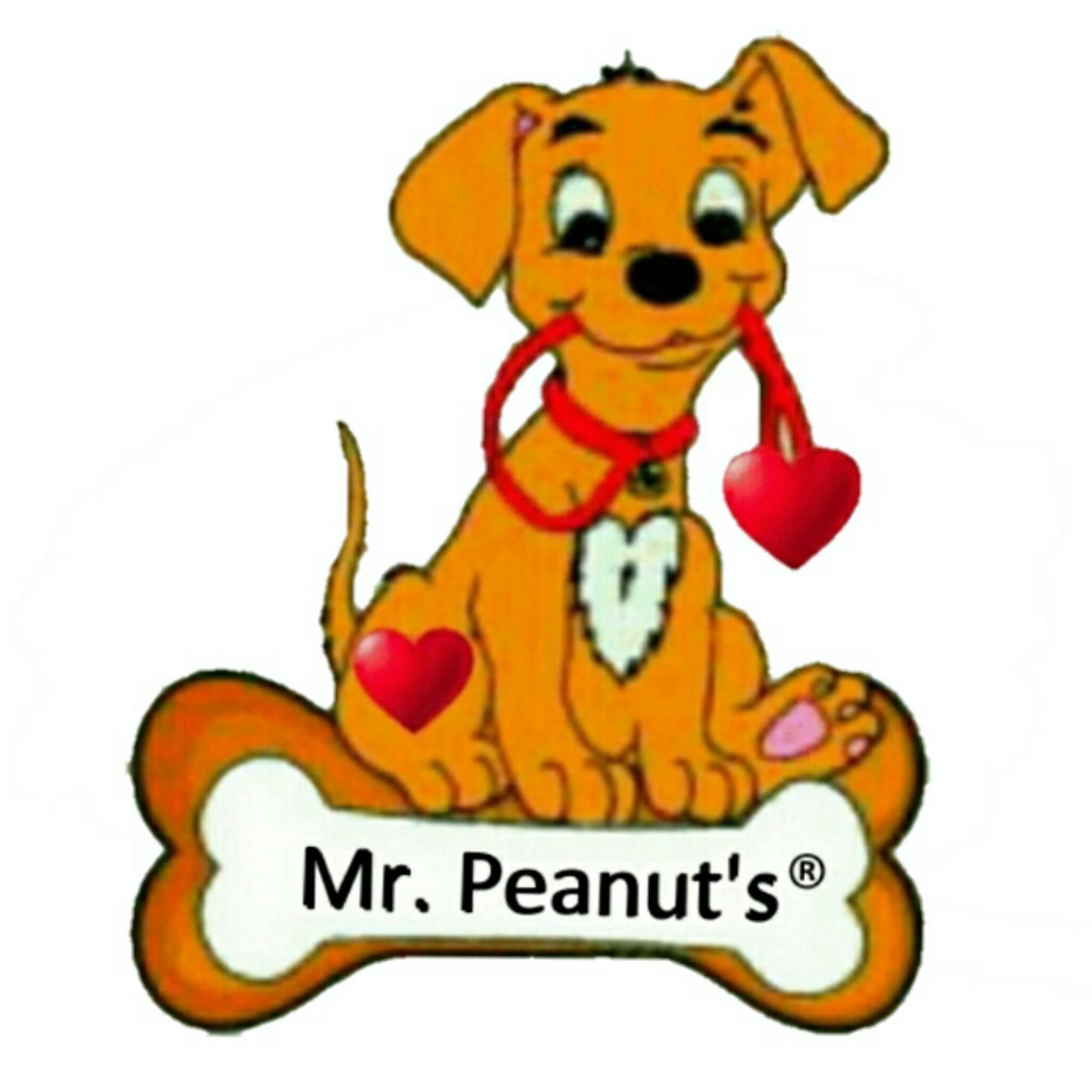 Company logo of Mr. Peanut's Premium Products