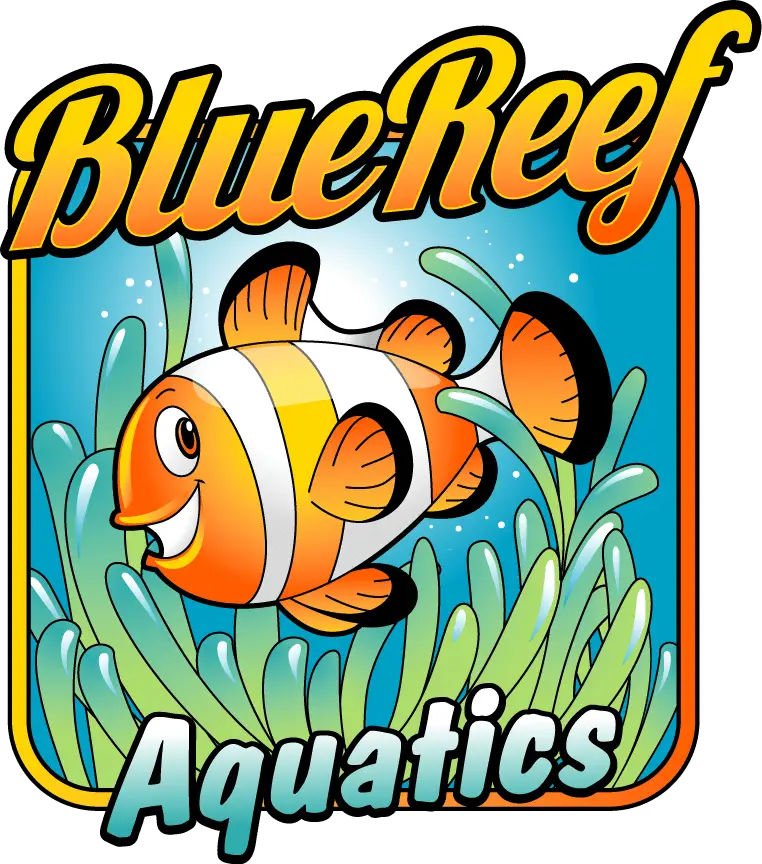 Company logo of Blue Reef Aquatics
