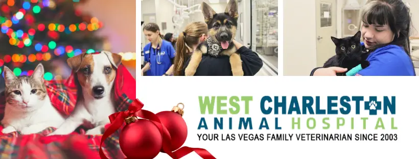 West Charleston Animal Hospital