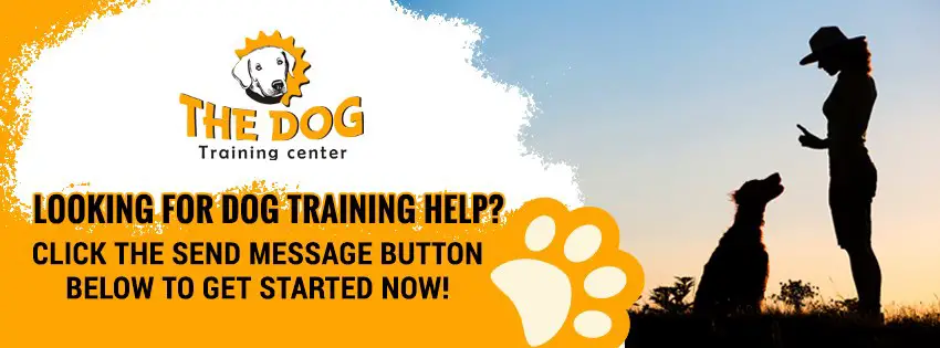 The Dog Training Center