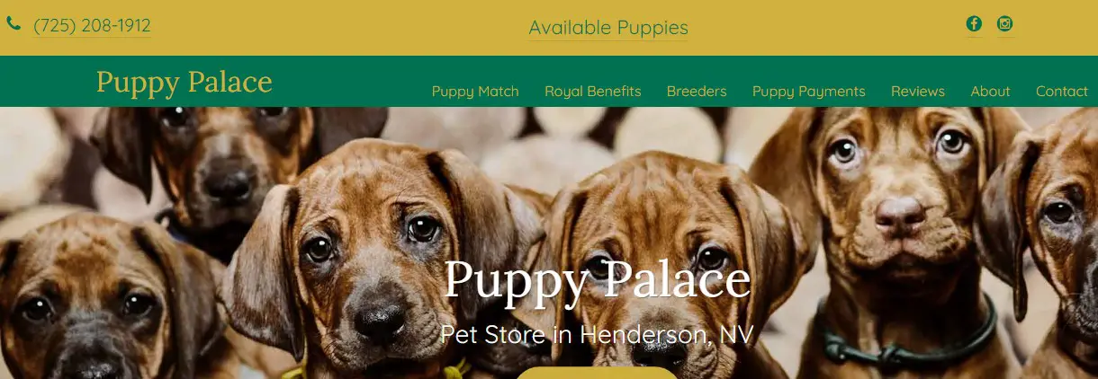 Company logo of Puppy Palace