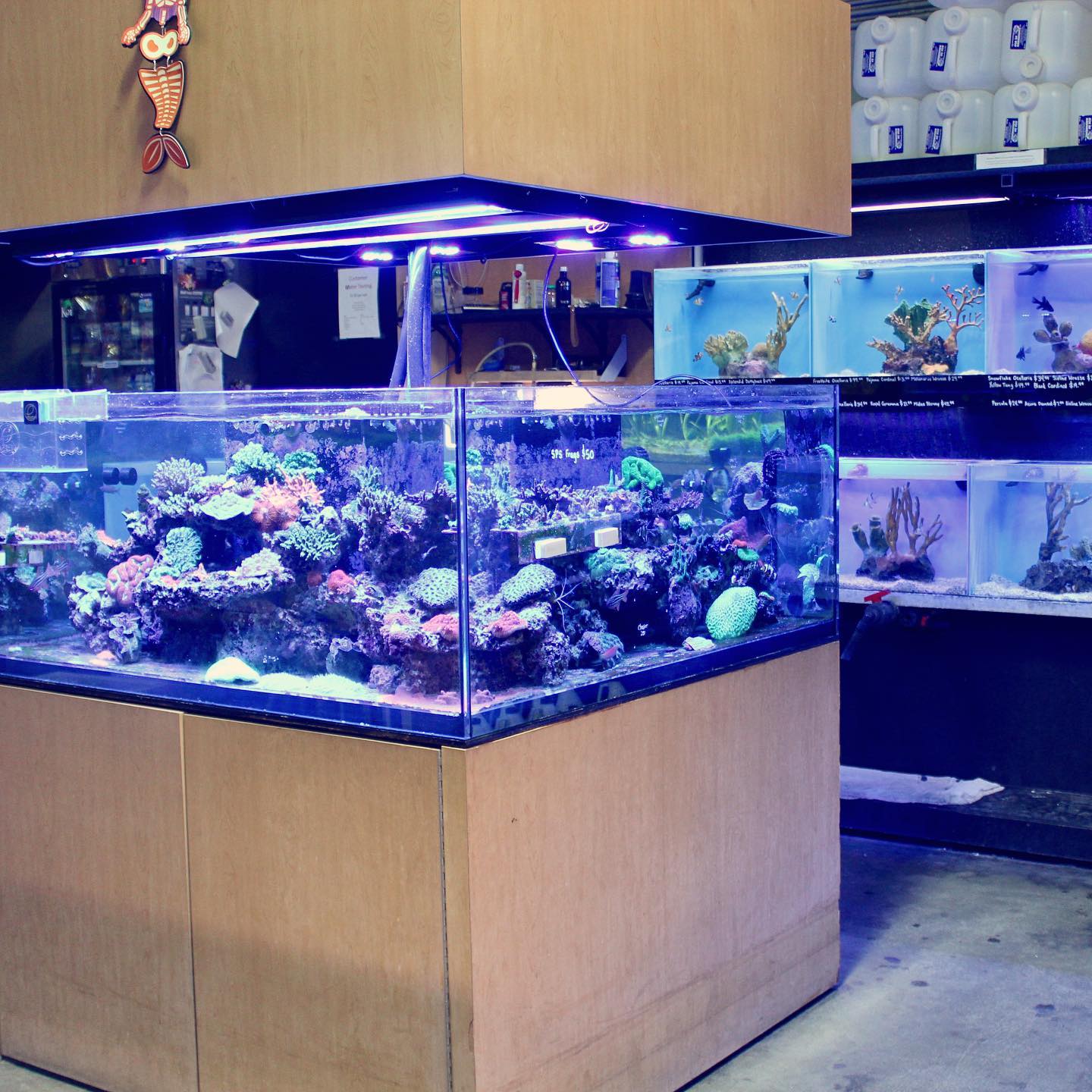 Age of Aquariums