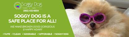 Company logo of Soggy Dog Pet Grooming
