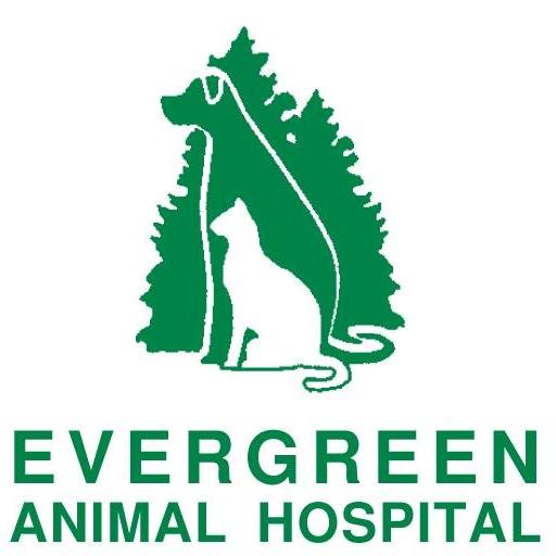 Company logo of Evergreen Animal Hospital