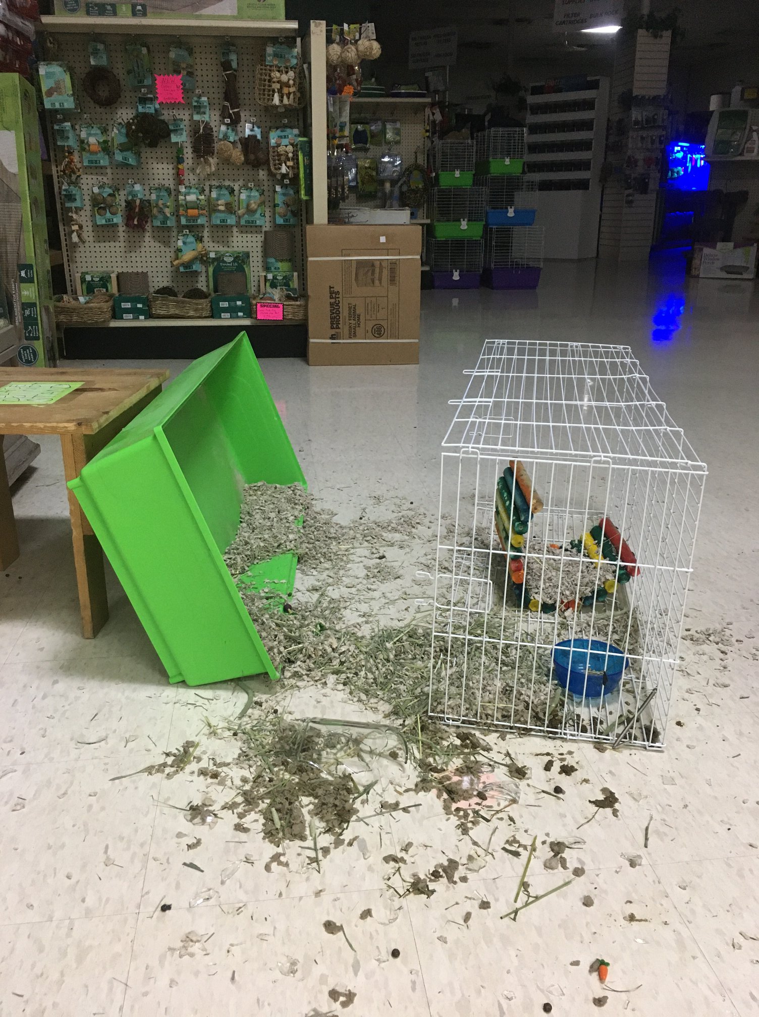 Sandy's Pet Shop