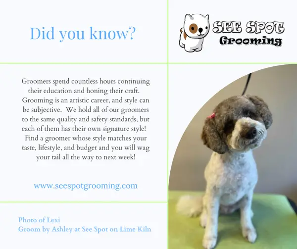 See Spot Grooming & Daycare