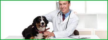 Animal Care Clinic