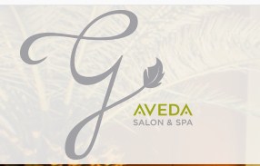 Company logo of g Aveda Salon & Spa Downtown Summerlin