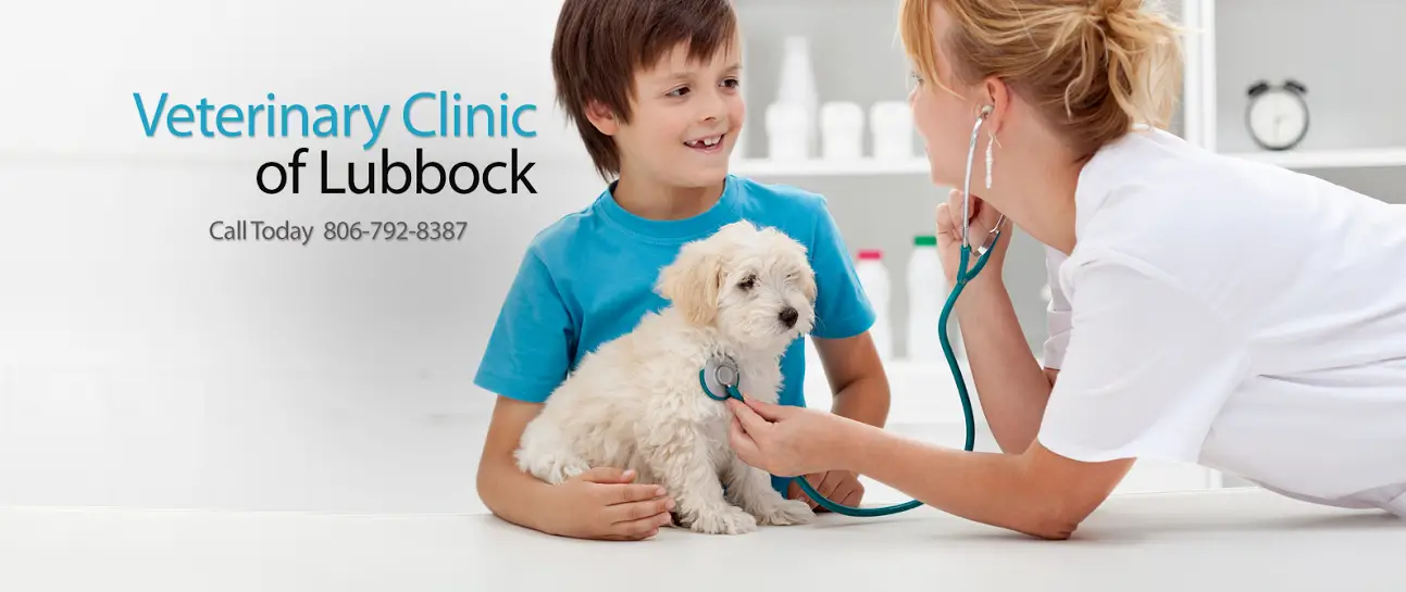 Veterinary Clinic of Lubbock