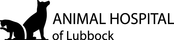 Company logo of Animal Hospital of Lubbock