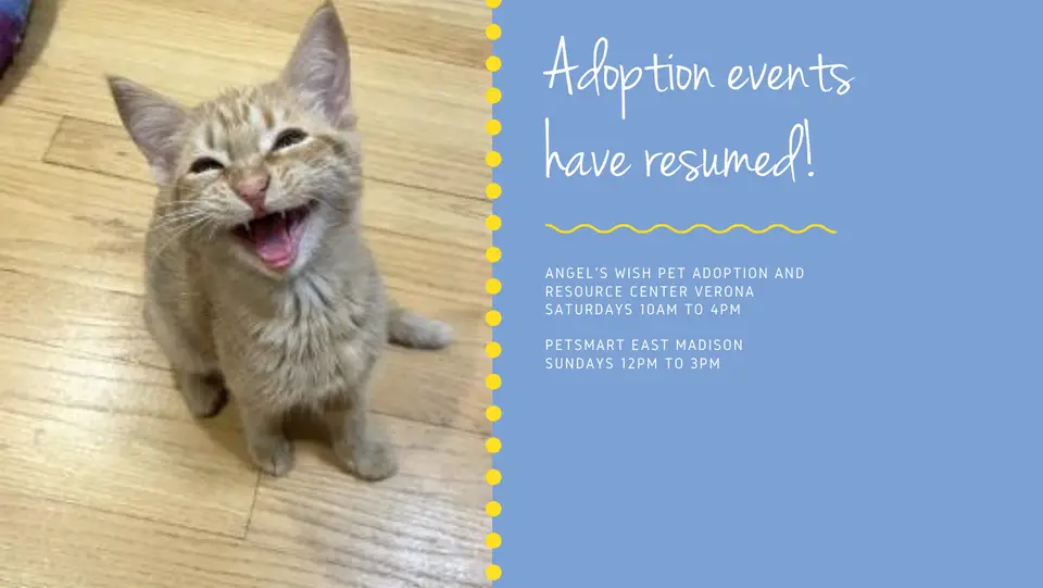 Angel's Wish Pet Adoption and Resource Center
