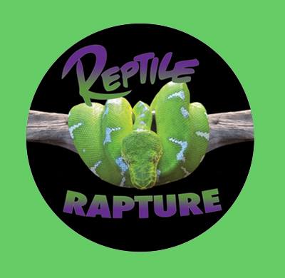 Company logo of Reptile Rapture