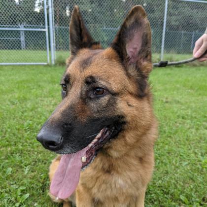 Dane County Humane Society Thrift Store